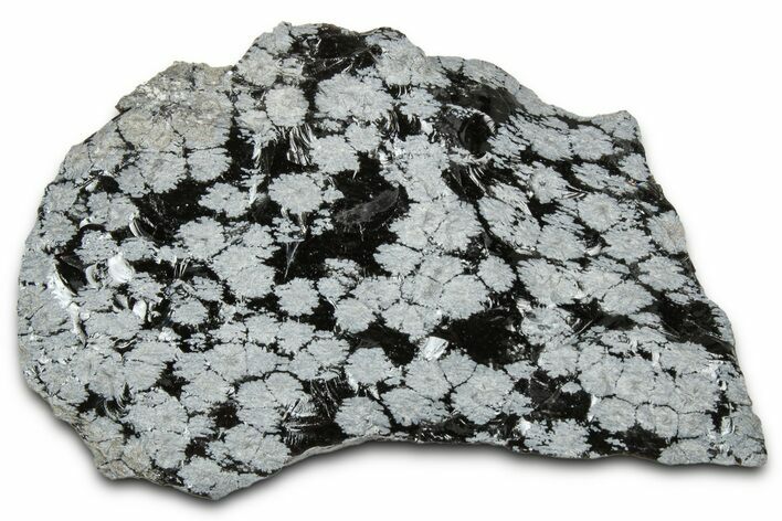 Snowflake Obsidian Section - Utah #327131